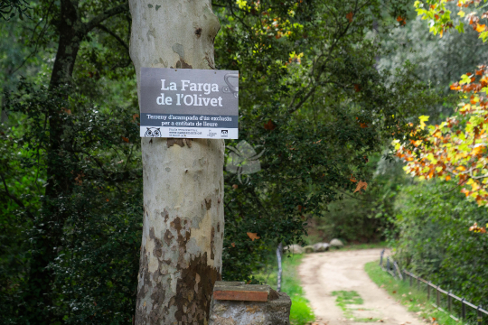 Cartell Farga de l'Olivet