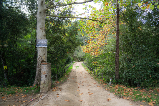 La Farga de l'Olivet