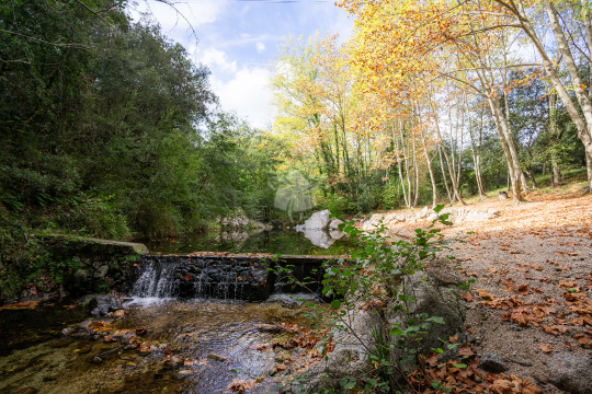 Les Dones (Gorga)