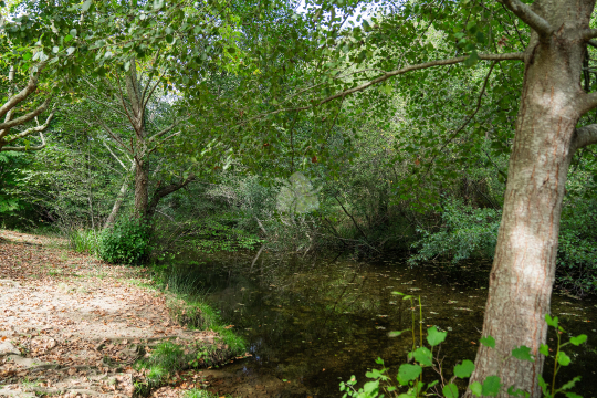Riu Font de la Farga